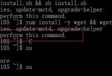 亚马逊EC2在linux 终端 you need to be root to perform this command问题解决-linux运维