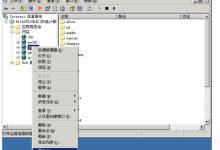 云服务器在IIS中怎么绑定域名?-linux运维