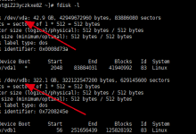 阿里云ECS服务器磁盘Linux在线扩容-linux运维